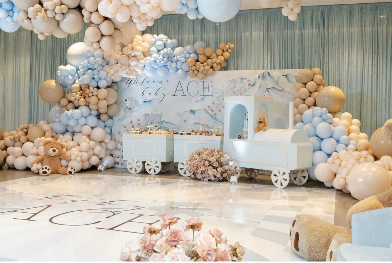 Backdrop for boy baby shower (decor rent)