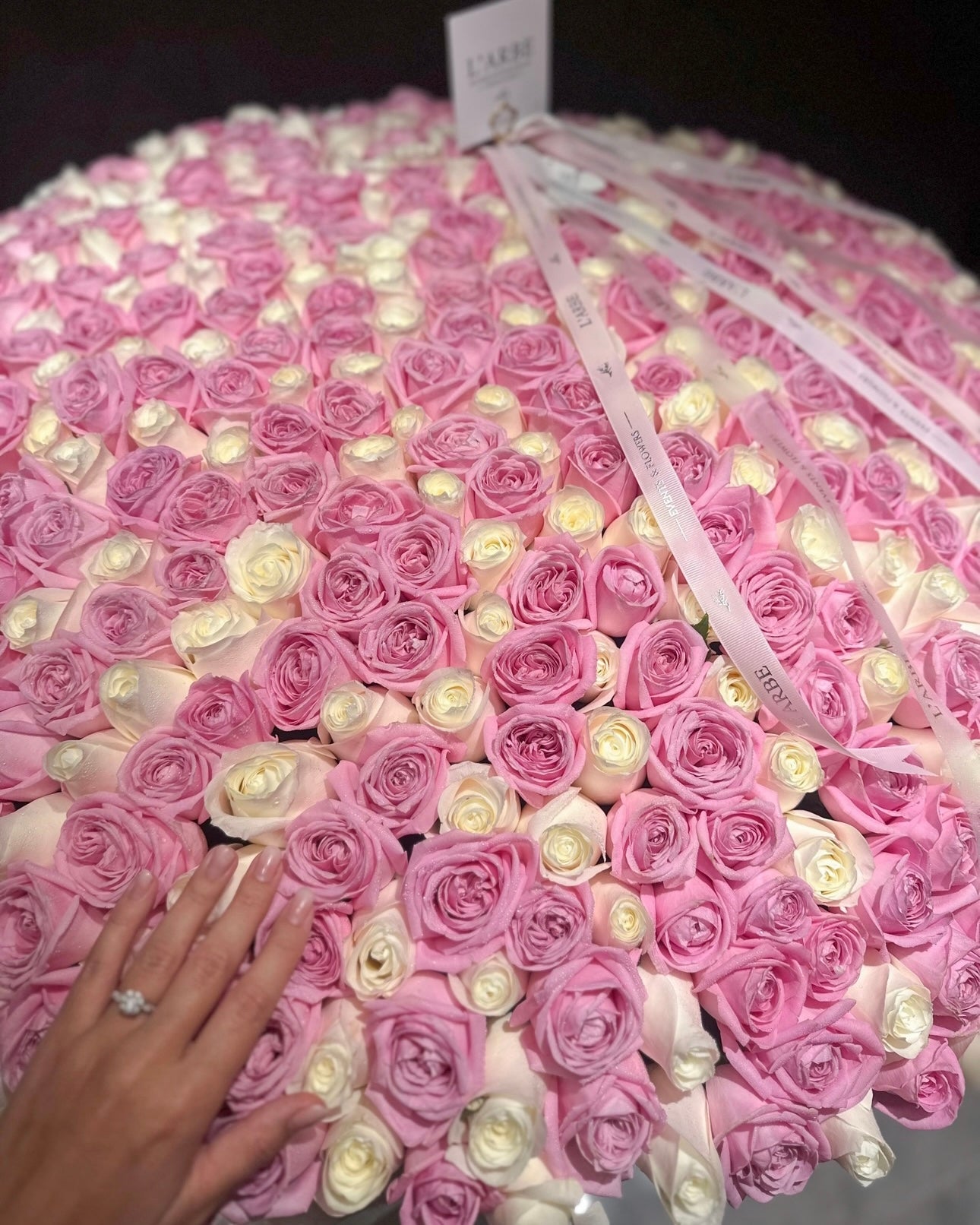 501 white and pink roses