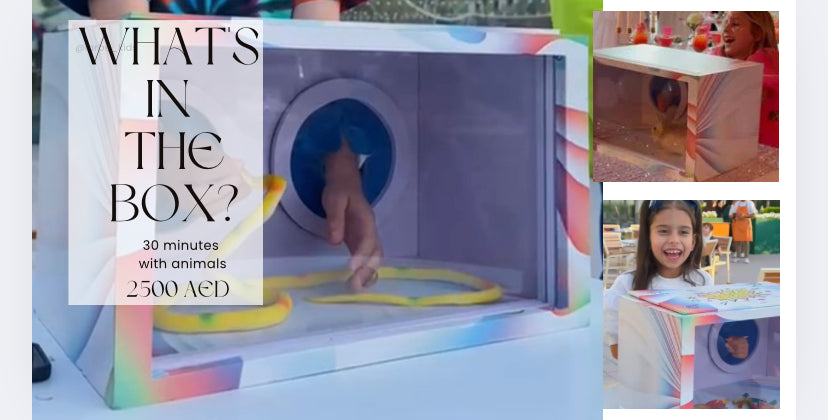 What’s in the box? (30 minutes)