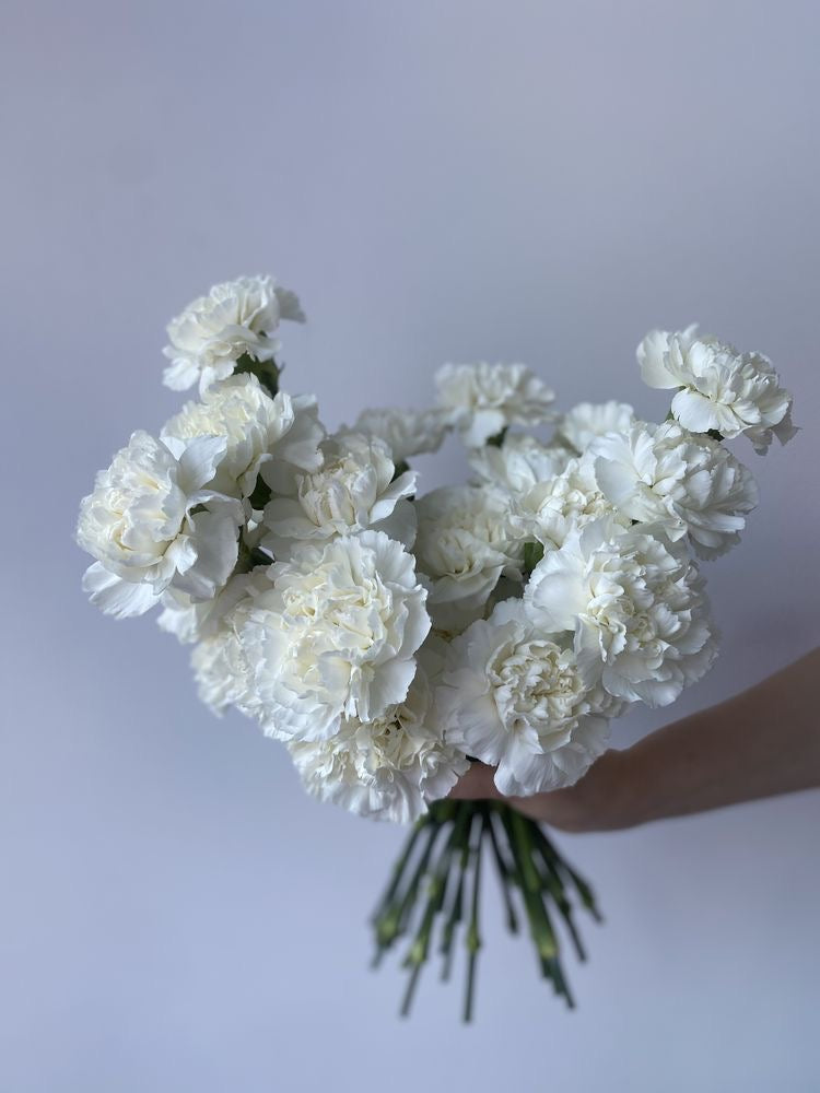 Flowers bouquet “White dianthus”