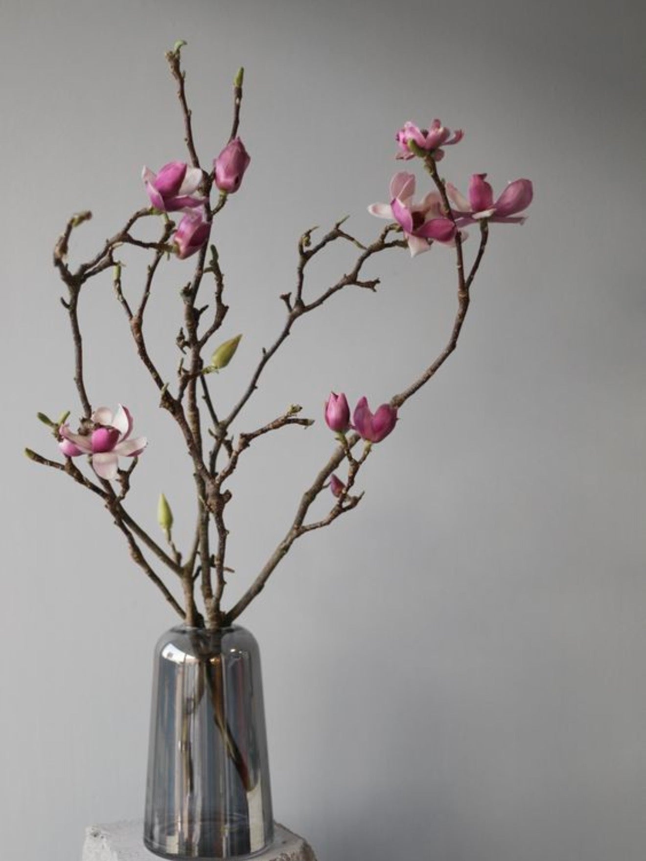 Magnolia