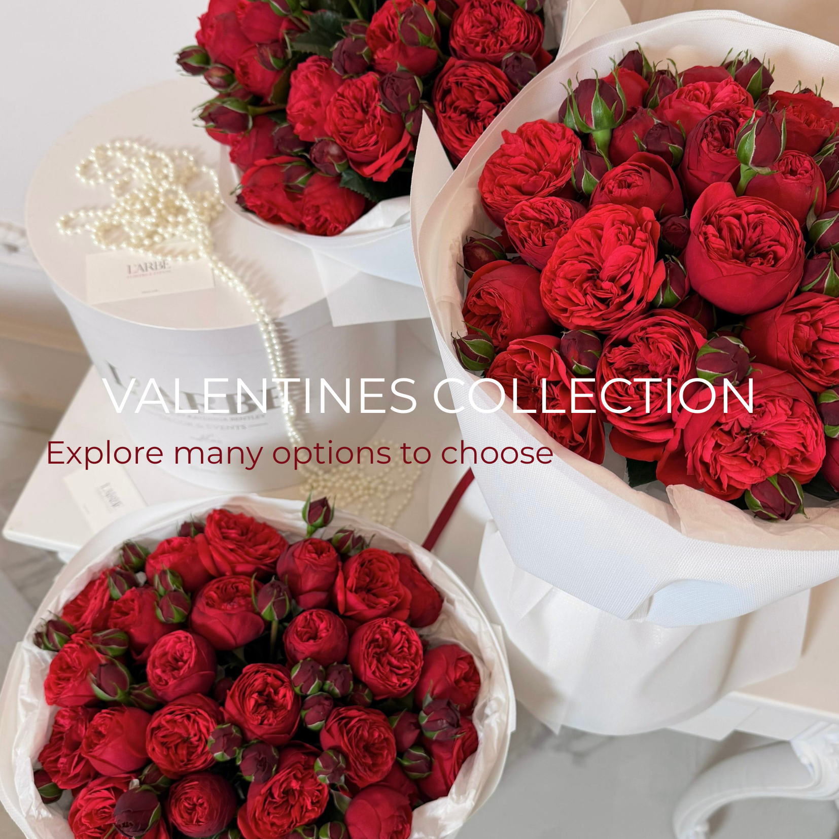 VALENTINE EDITION COLLECTION