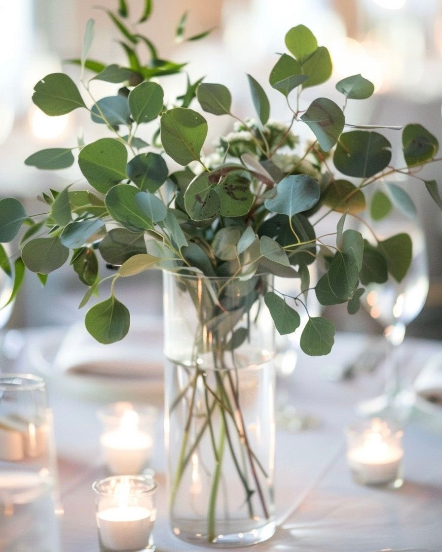 Eucalyptus in vases