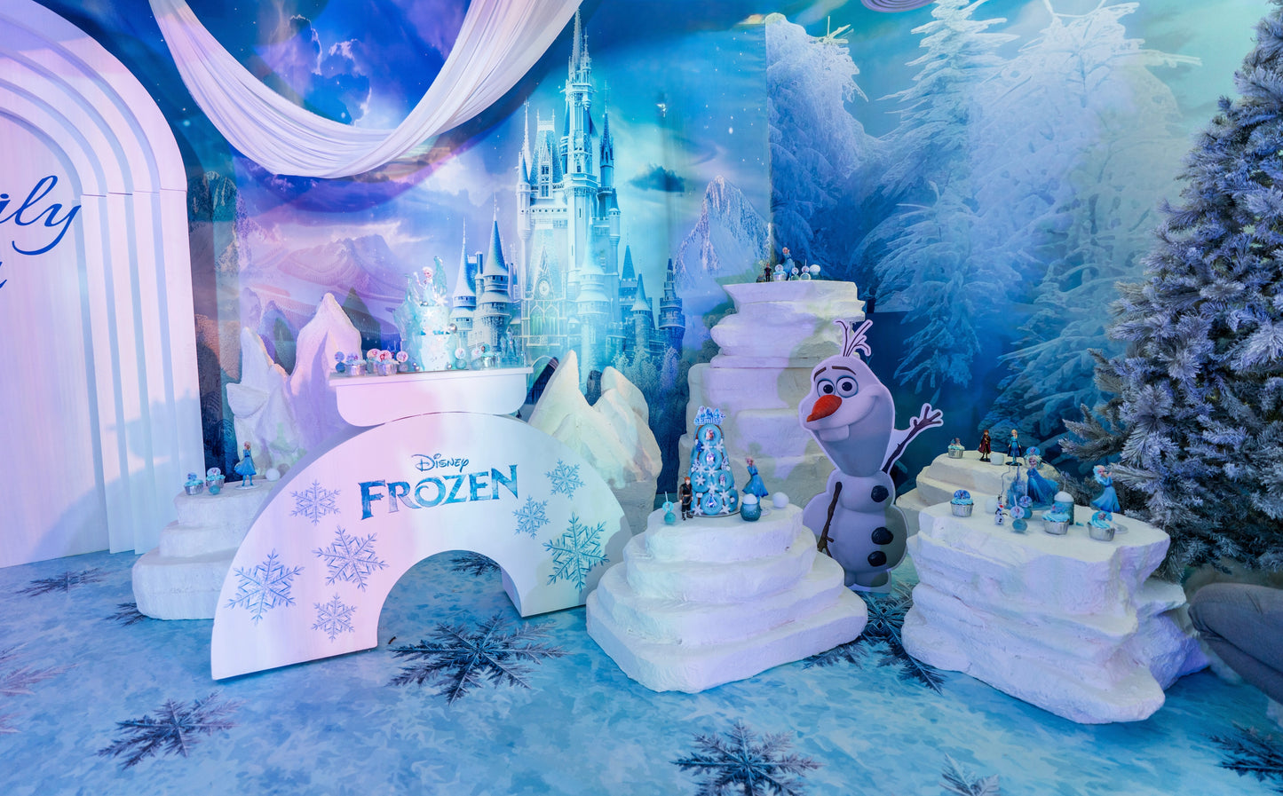 FROZEN BACKDROP