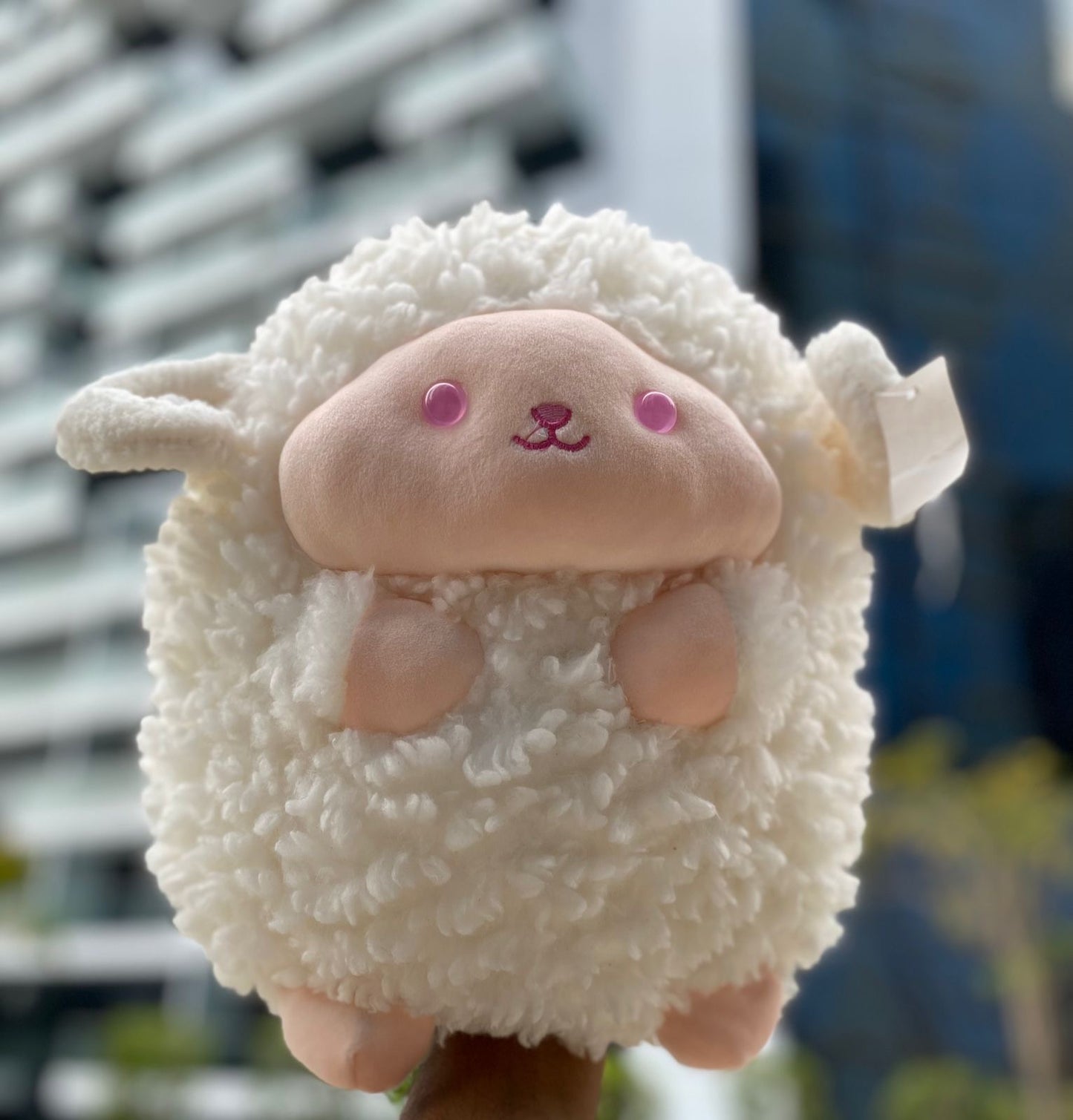 Soft toy for kids Lamb