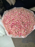 LIGHT PINK ROSES 401 PCS