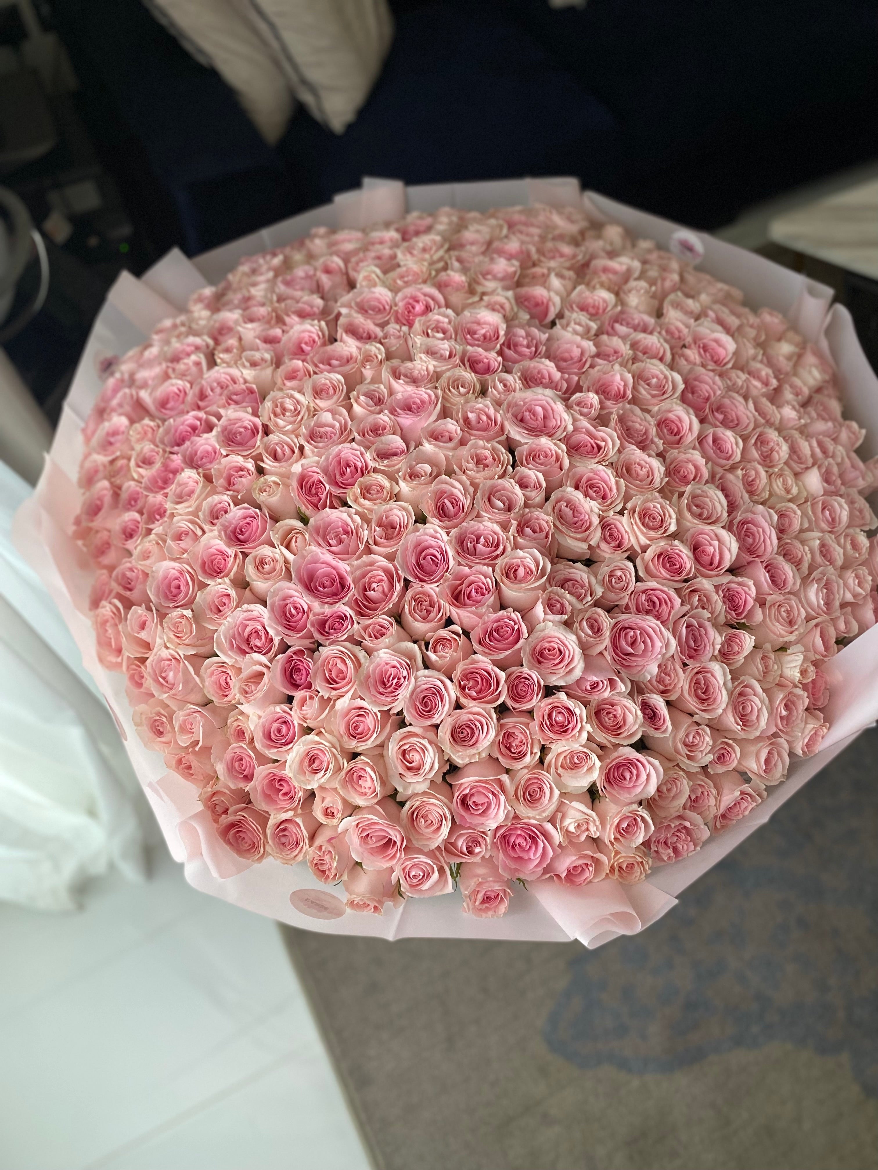 LIGHT PINK ROSES 401 PCS
