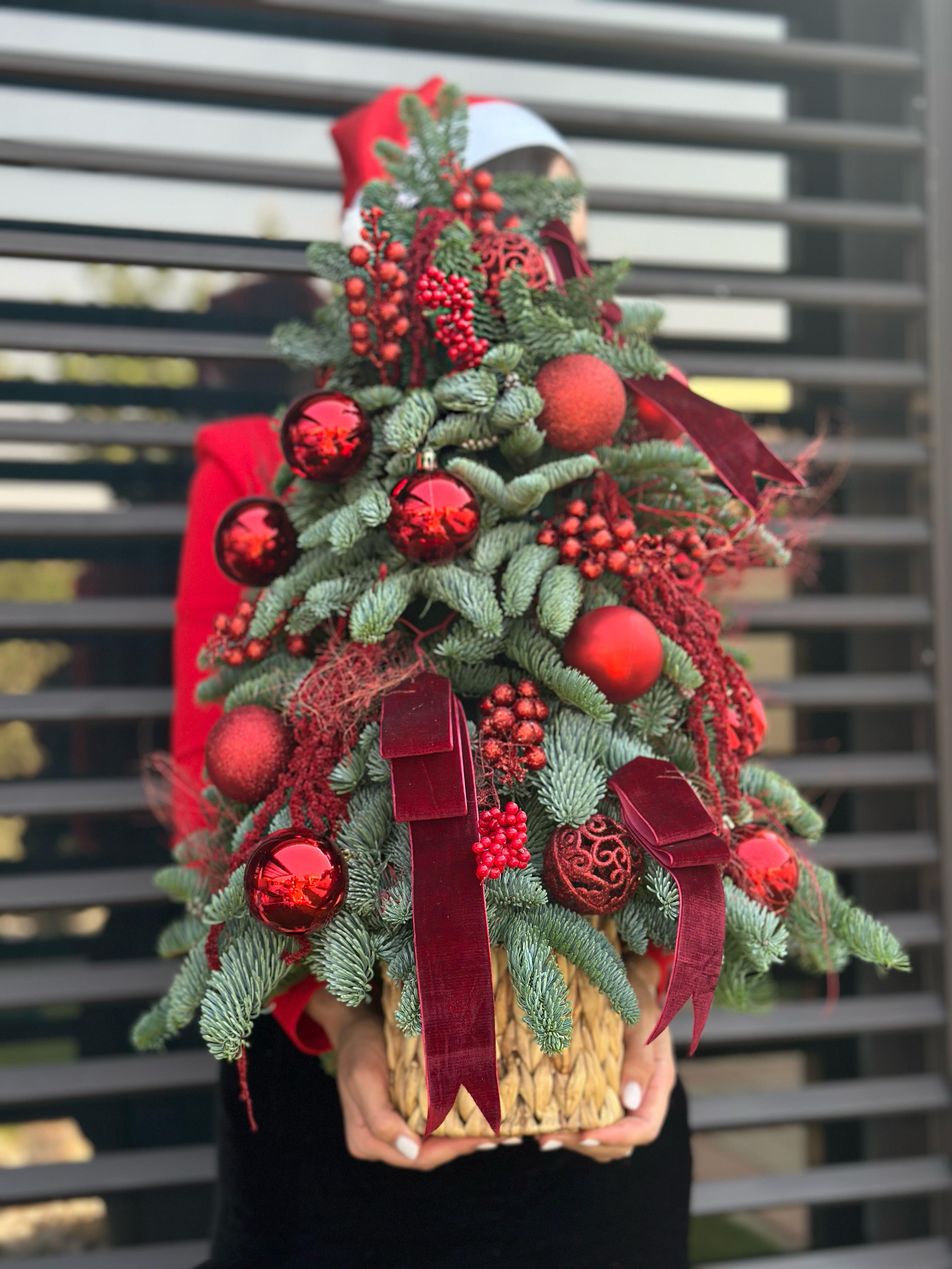 Christmas decor fresh nobilis 
“Red small Christmas tree” 70 cm