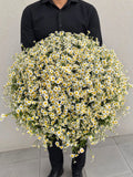 FLOWERS BOUQUET WITH TANACETUM