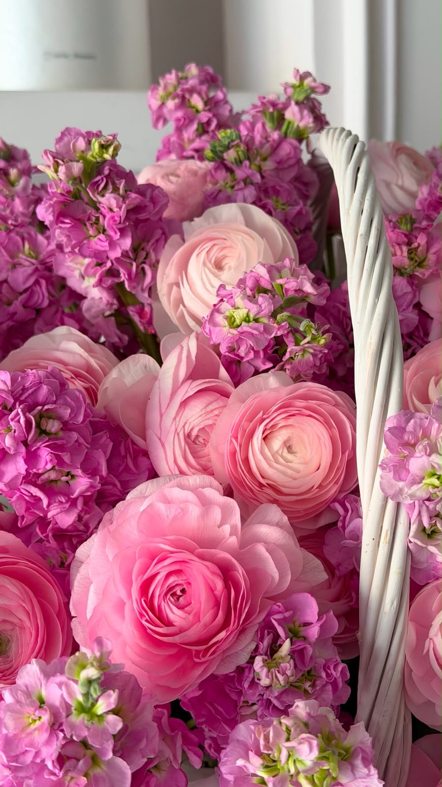 FLOWERS BASKET WITH PINK RANUNCULUS AND MATHIOLA