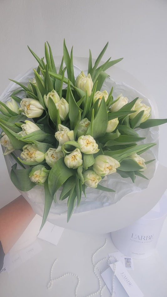 25 TULIPS WHITE