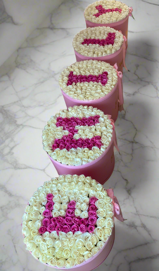 5 letter mentioned what name we need to put