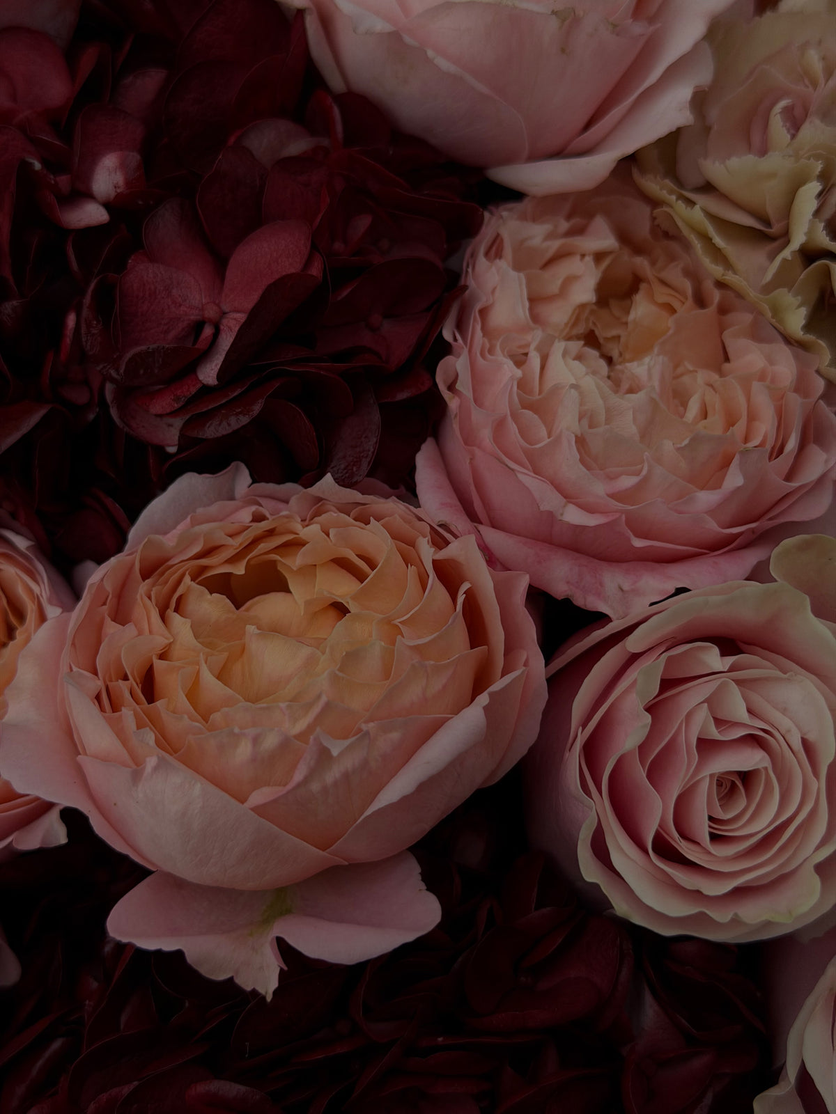 FLOWERS BOUQUET “CASHMERE BLOOM”
