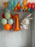 HELIUM BALLOONS #0206