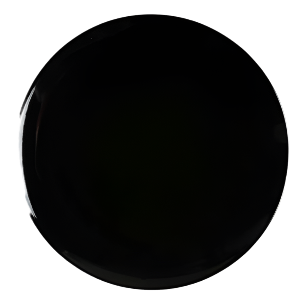 Black Dinning plate rent PL-0004 25 cm