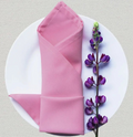 Napkin (rent) N-0029