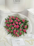 35 TULIPS FLASHPOINT