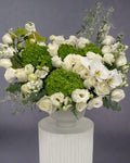 GREEN WHITE FLOWERS IN POT “ALEVTINA”