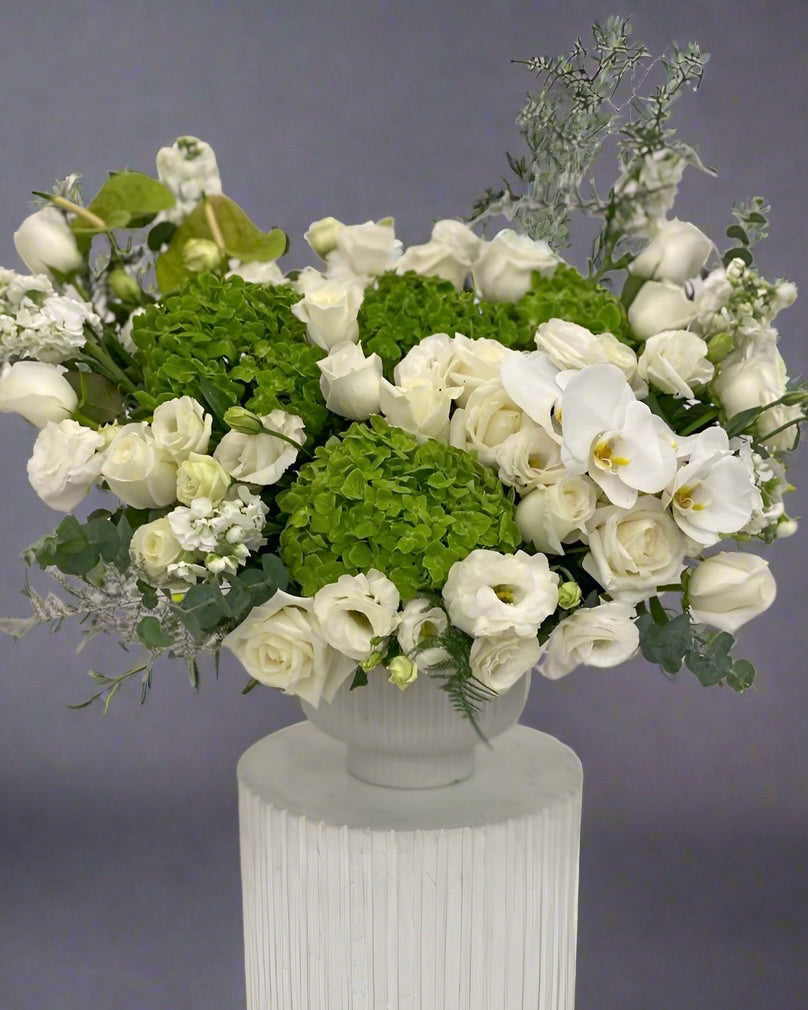 GREEN WHITE FLOWERS IN POT “ALEVTINA”