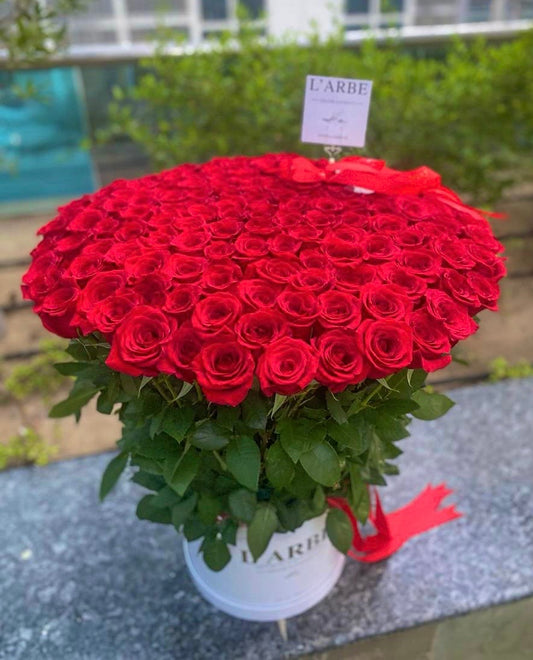 150 red roses in white box