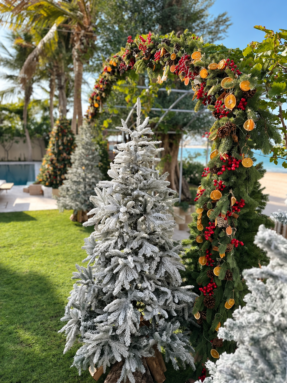 Natural Rustic Citrus & Pinecone Luxury Christmas Arch 8 m / 26.2 ft