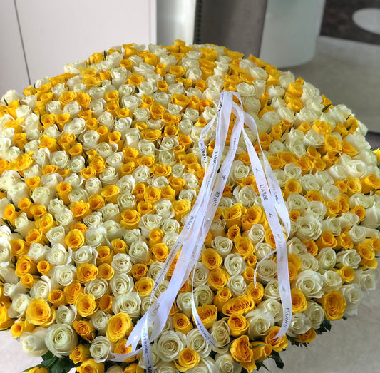 White and yellow roses