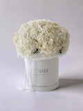 FLOWERS BOX WITH WHITE HYDRANGEAS