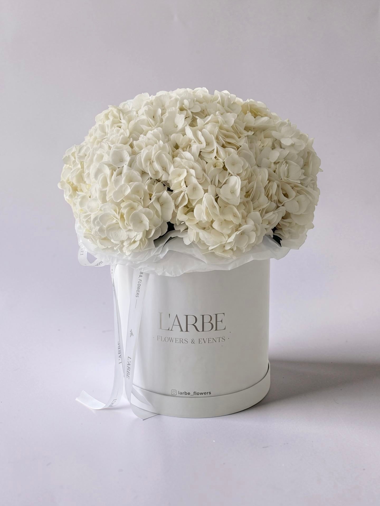 FLOWERS BOX WITH WHITE HYDRANGEAS