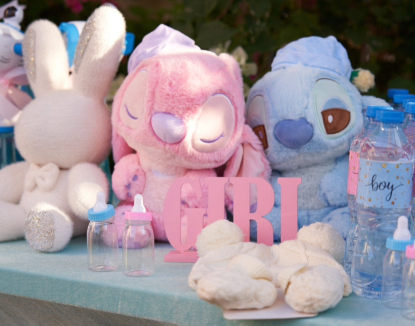 Decorations for the welcom zone (rent)