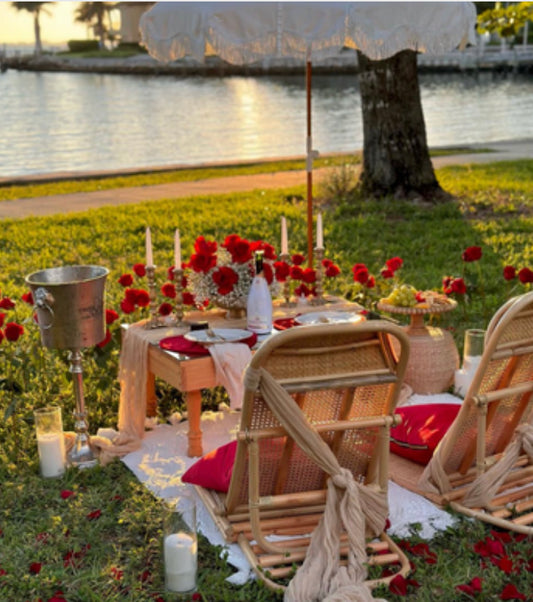 Romantic picnic (Sunset) (Decor rent)