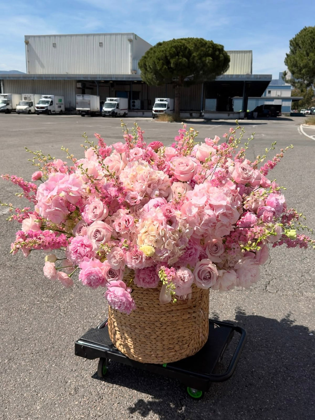 WOW PINK FLOWERS BASKET
