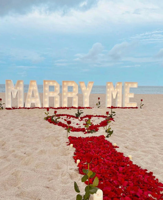 Marry me Soft petals (Decor rent)