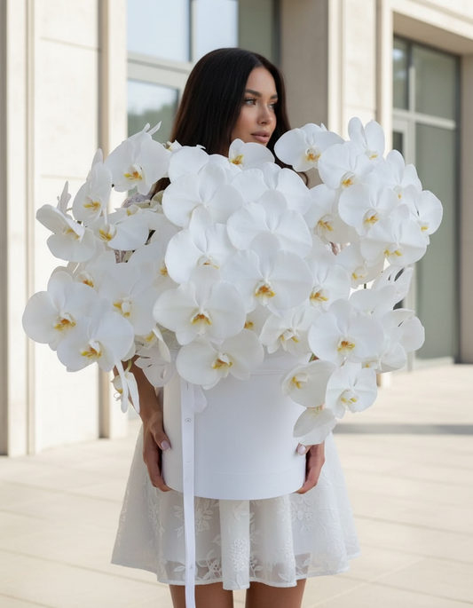 WHITE BOX WITH ORCHIDS PHALENOPSIS V134