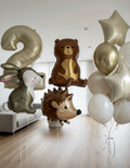 HELIUM BALLOONS CODE #0210