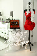 Cruella de Vil  Luxury Birthday Decor with Red Dress Display & Happy Birthday Neon Sign – Rent