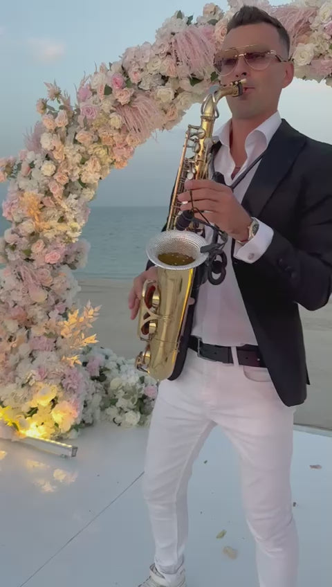 Saxophonist musician, saxophone for event