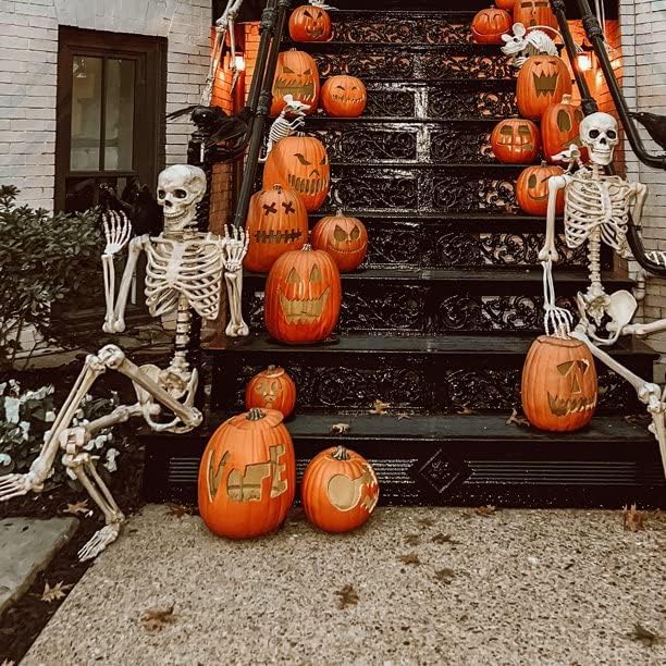 Halloween posable skeleton 165 cm (1 pcs rent) D-0008