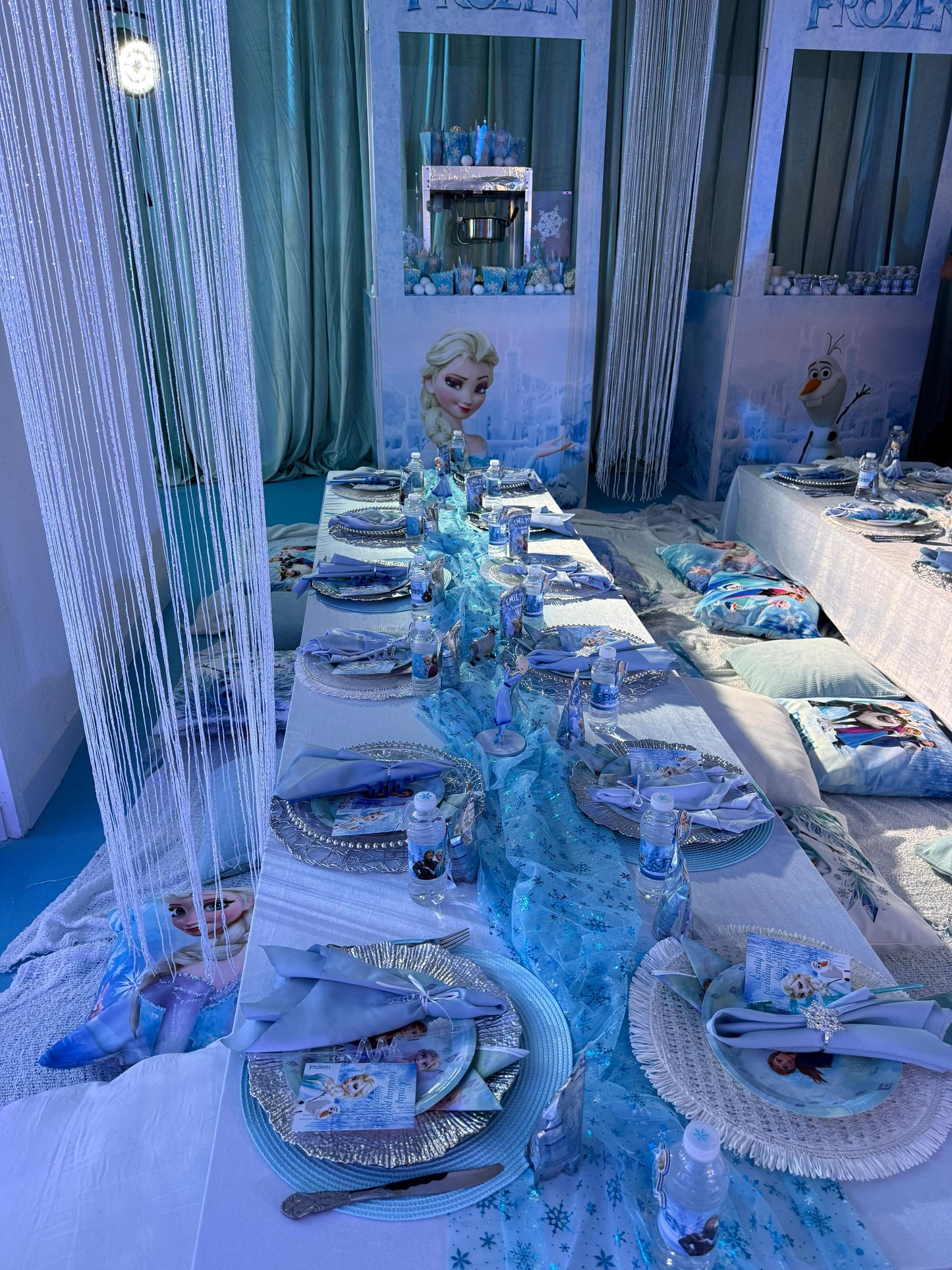 ТР-0025 Замороженный