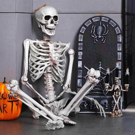 Halloween posable skeleton 165 cm (1 pcs rent) D-0008