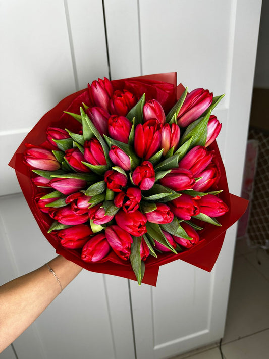 33 red tulips