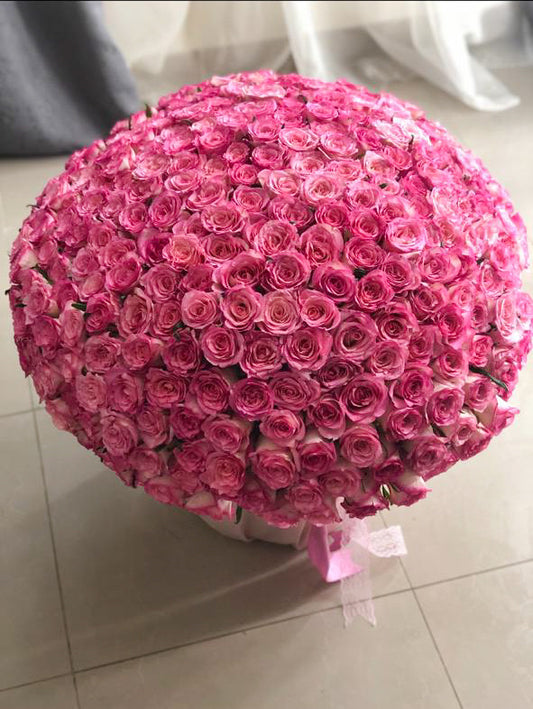 351 Double color pink roses