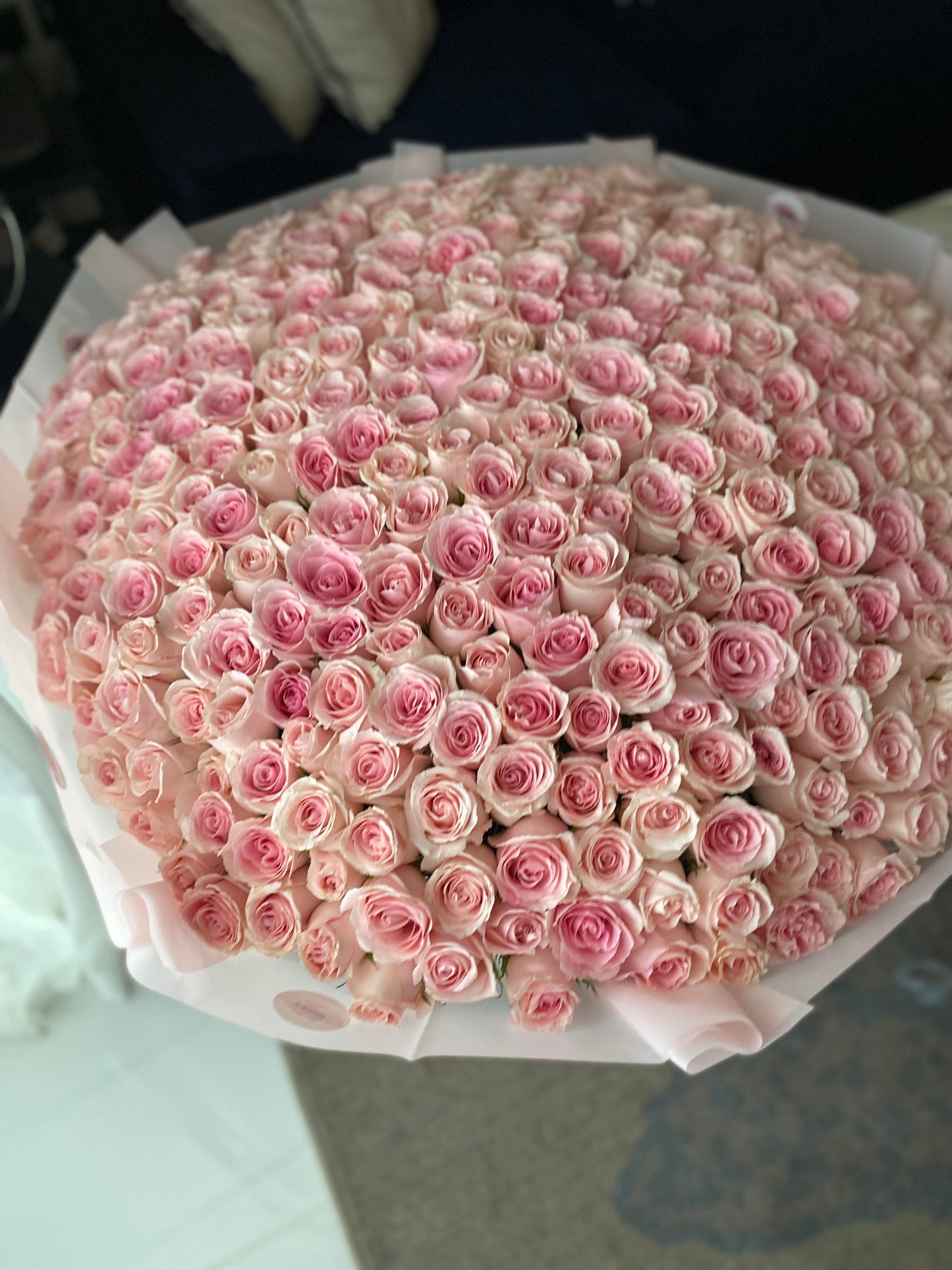 Light Pink roses 401 pcs