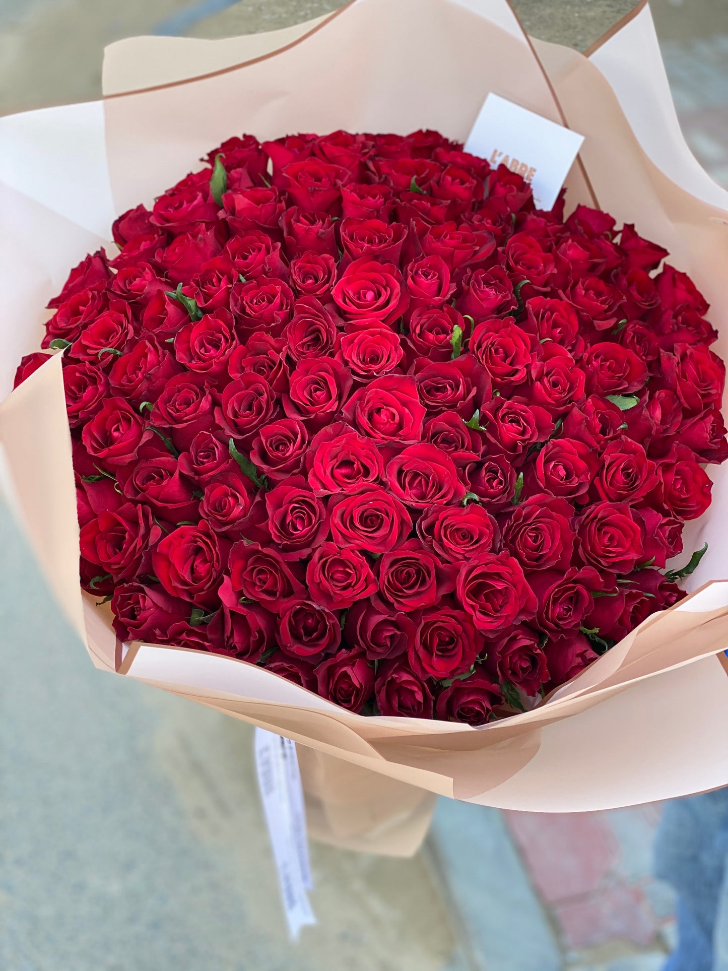 Red roses