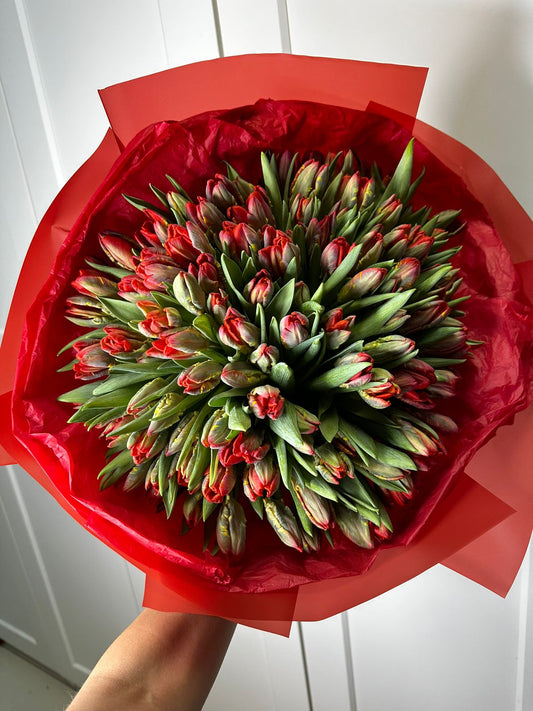 Woman’s bouquet 101  red tulips