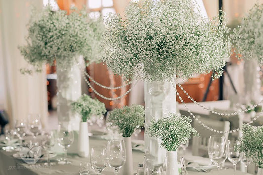 Centerpiece with gypsophila (1 big piece) (Decor rent)