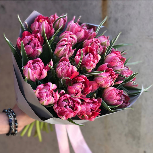 Peony dark pink tulips 🌷 29 pcs