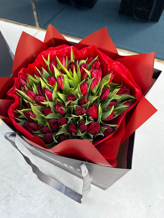 Red tulips  51 pcs