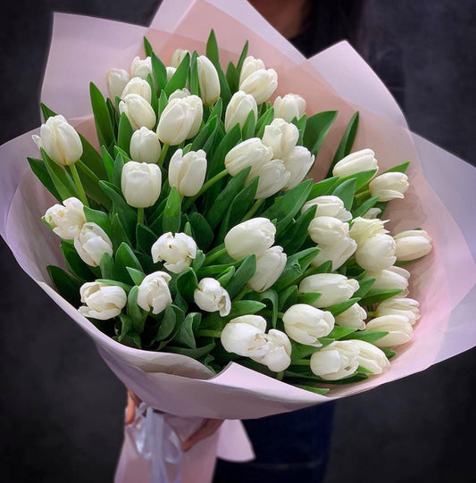 White tulips 51pcs