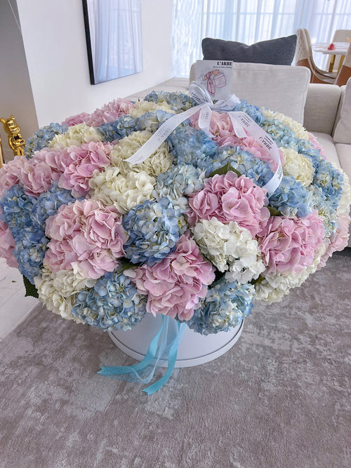 BOX WITH HYDRANGEAS MIX COLOURS