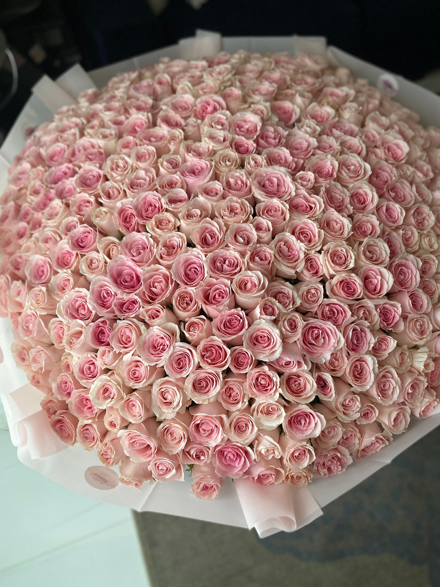 Light Pink roses 401 pcs